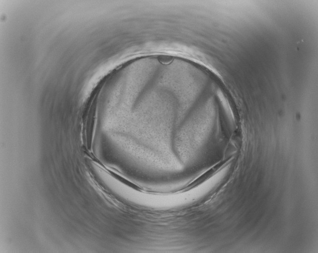 X0000052591507200507221555