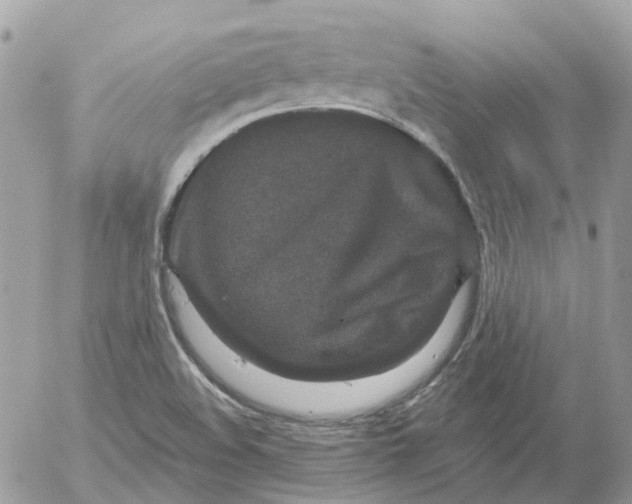 X0000052591508200507221555
