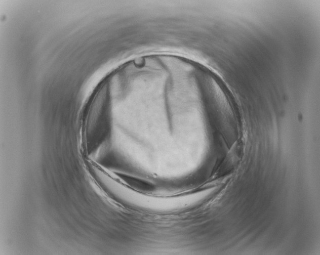 X0000052591511200507221555