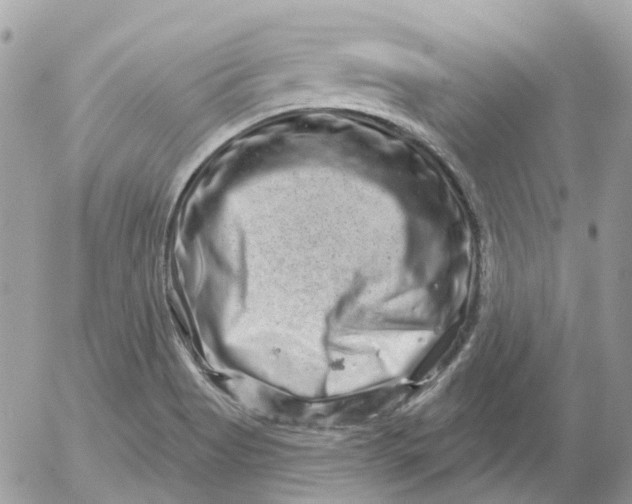 X0000052591513200507221555