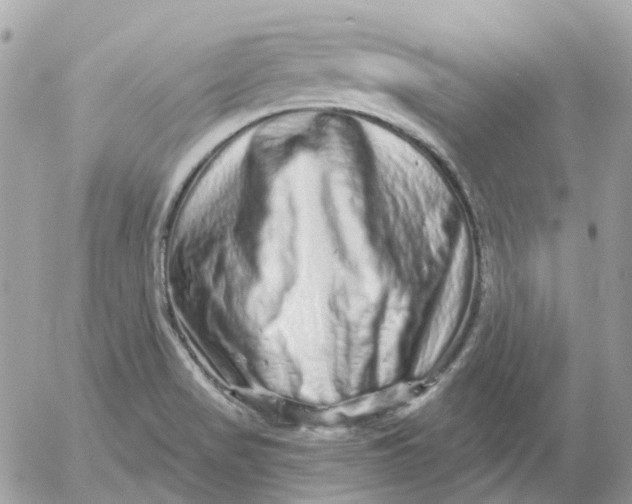 X0000052591517200507221555