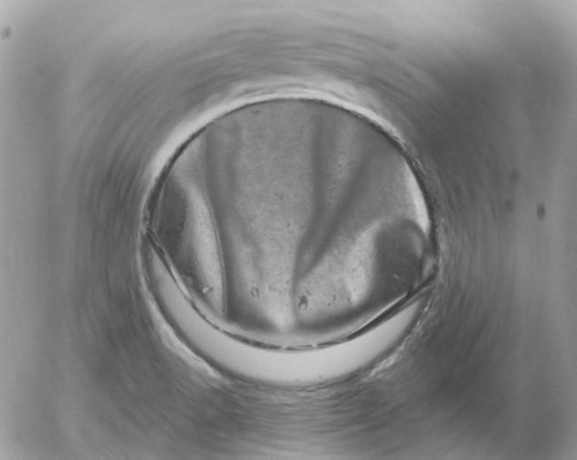 X0000052591518200507221555