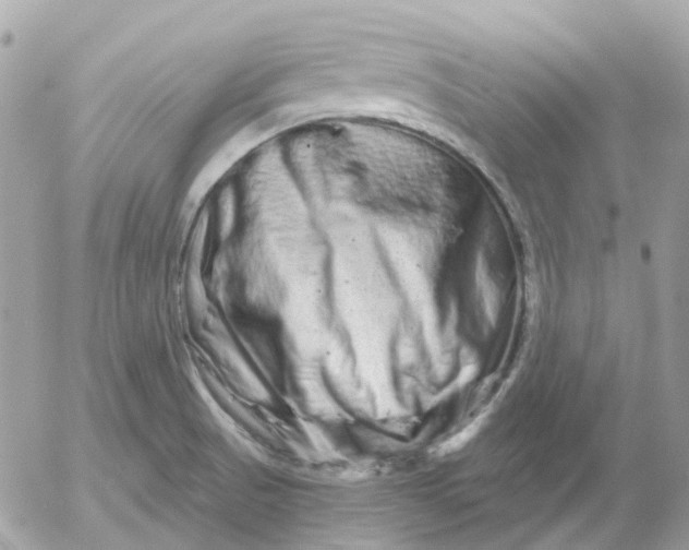 X0000052591521200507221555