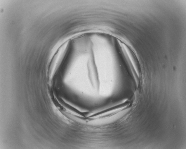 X0000052591532200507221556