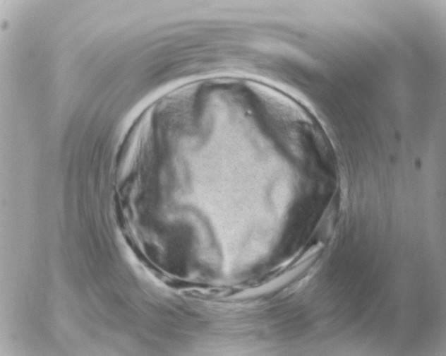 X0000052591534200507221556