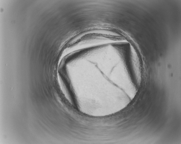 X0000052590010200507292109