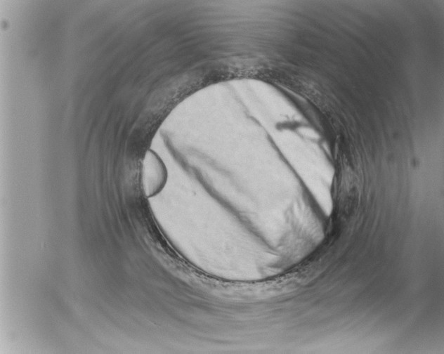 X0000052590034200507292109