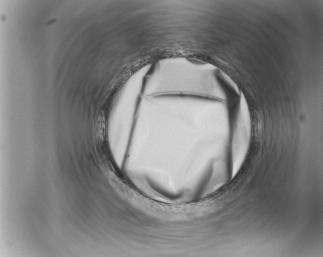 X0000052590038200507292108