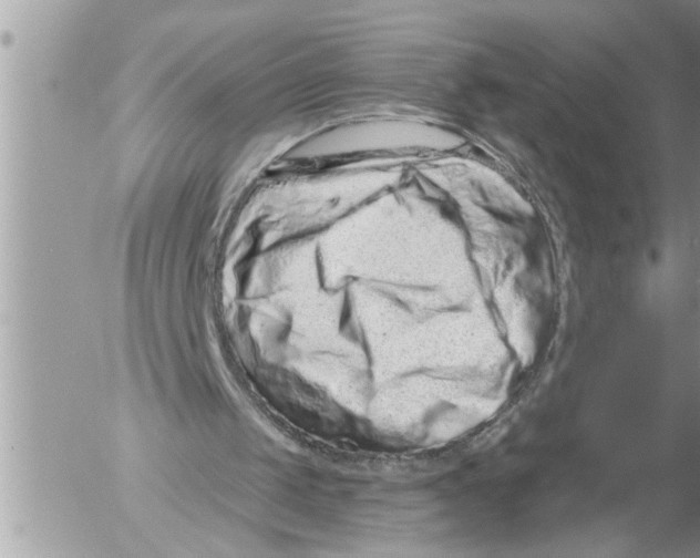 X0000052590049200507292108