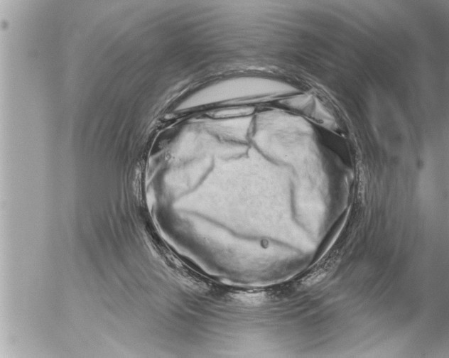 X0000052590071200507292108