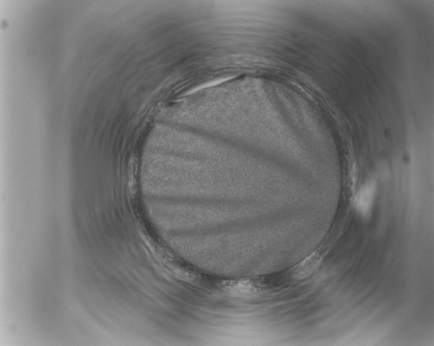 X0000052590074200507292108