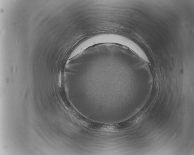 X0000052590076200507292108