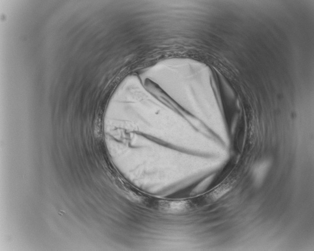 X0000052590081200507292108