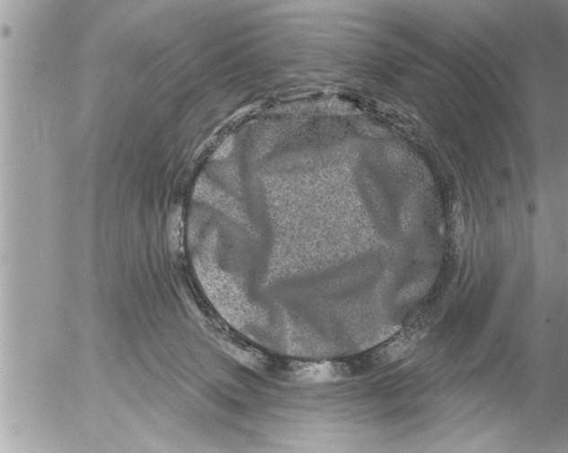 X0000052590083200507292108