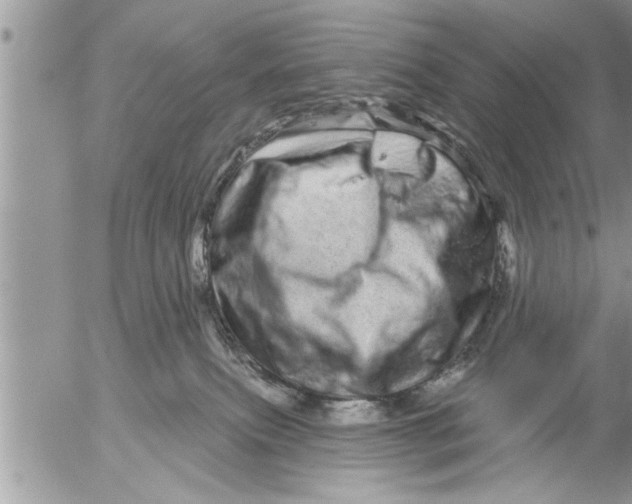 X0000052590087200507292108