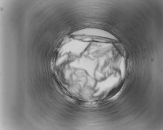 X0000052590094200507292108
