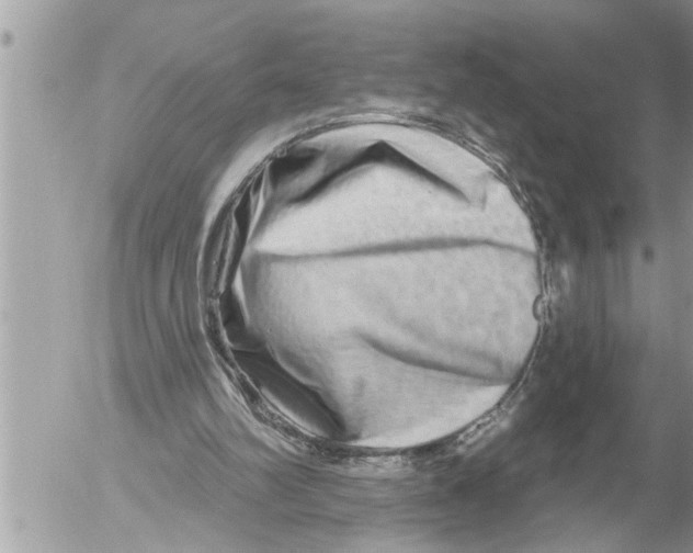 X0000052590102200507292107