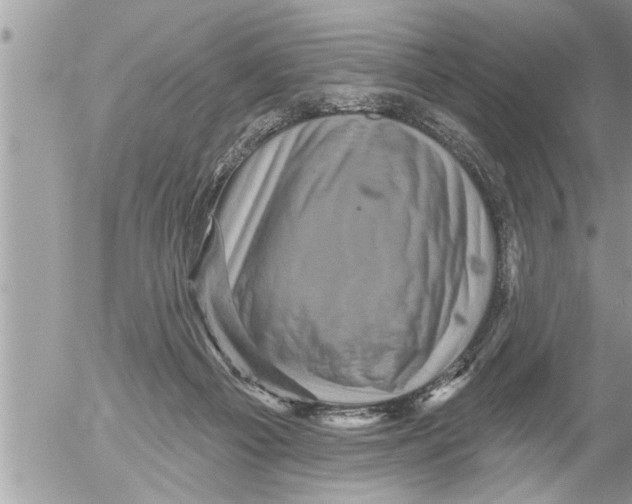 X0000052590121200507292107