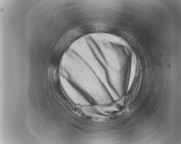 X0000052590123200507292107