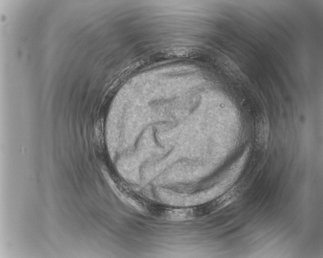 X0000052590126200507292107