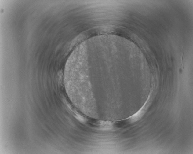 X0000052590144200507292107