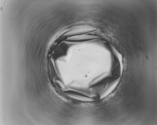 X0000052590150200507292106