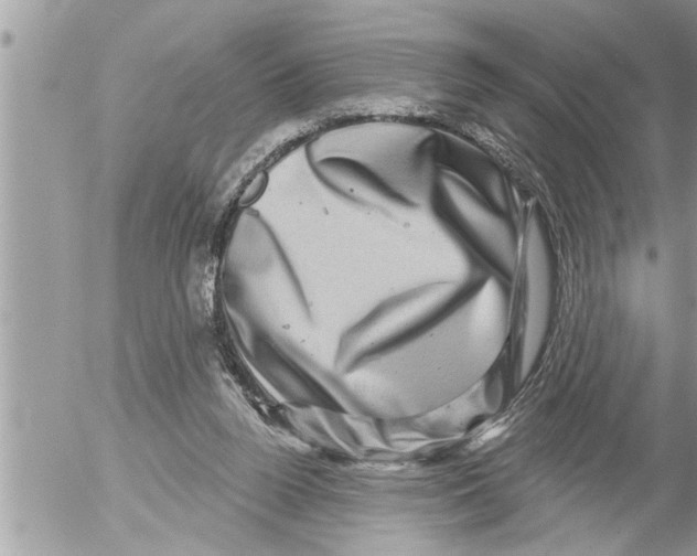 X0000052590160200507292106