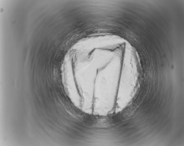X0000052590173200507292106