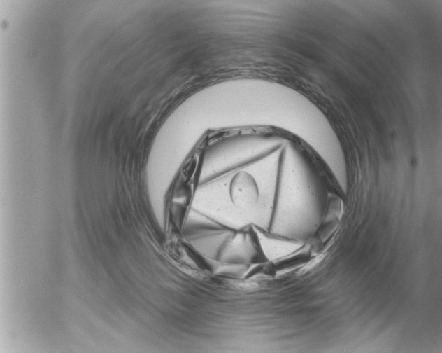 X0000052590184200507292107