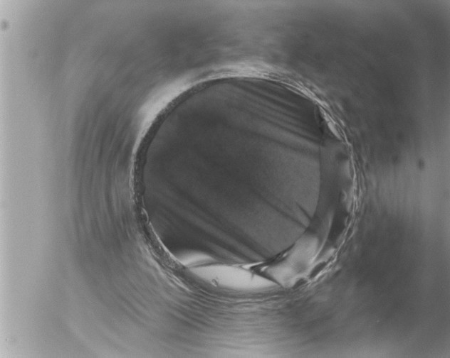 X0000052590200200507292106