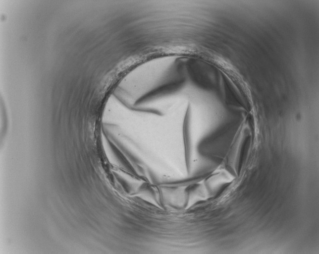 X0000052590201200507292106