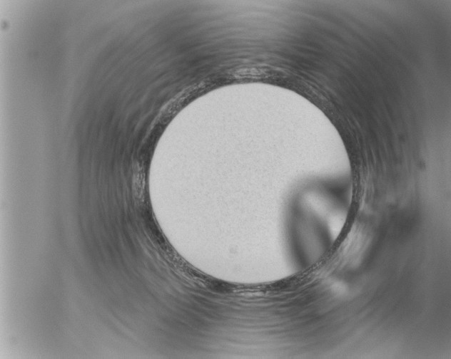 X0000052590228200507292105