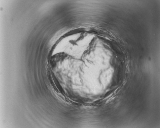 X0000052590242200507292104