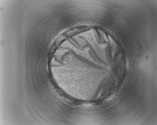 X0000052590256200507292105