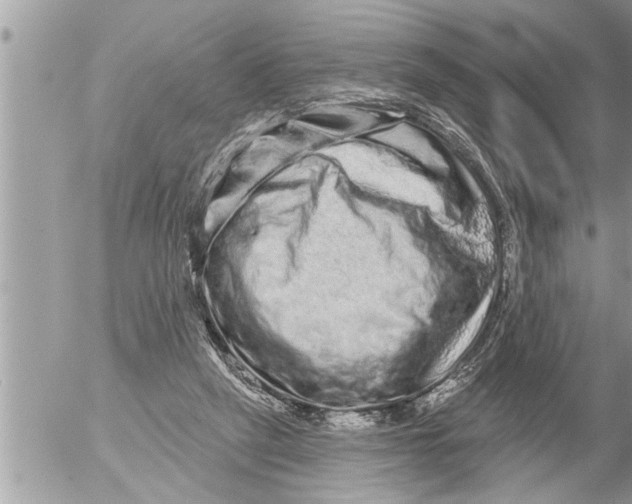 X0000052590257200507292105