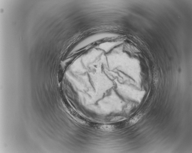 X0000052590261200507292105