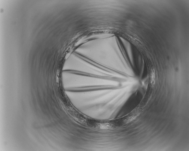 X0000052590264200507292105