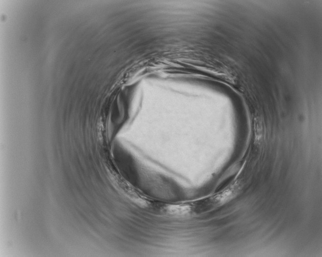 X0000052590279200507292105