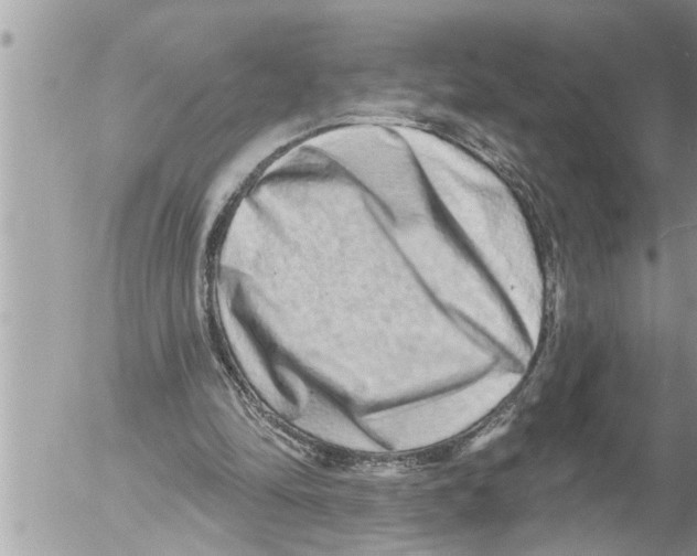 X0000052590294200507292104