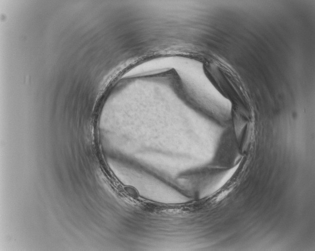 X0000052590298200507292104