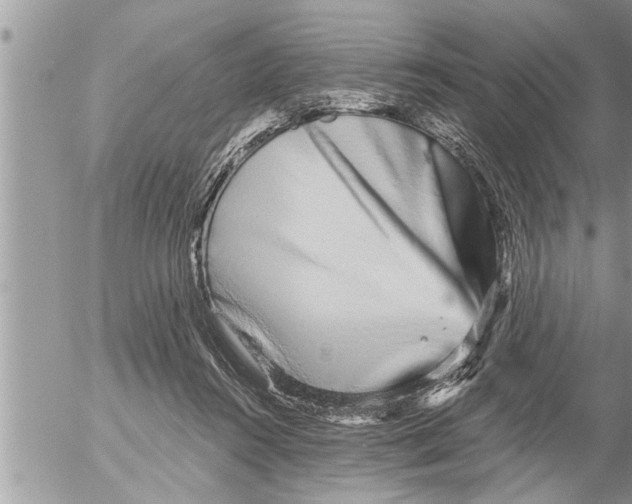 X0000052590360200507292103