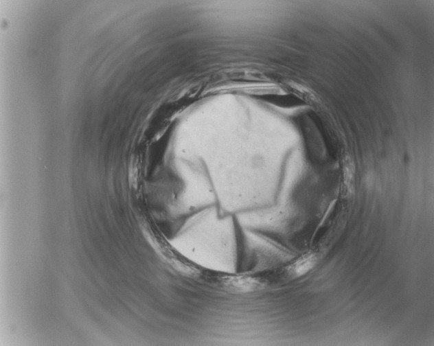X0000052590379200507292103