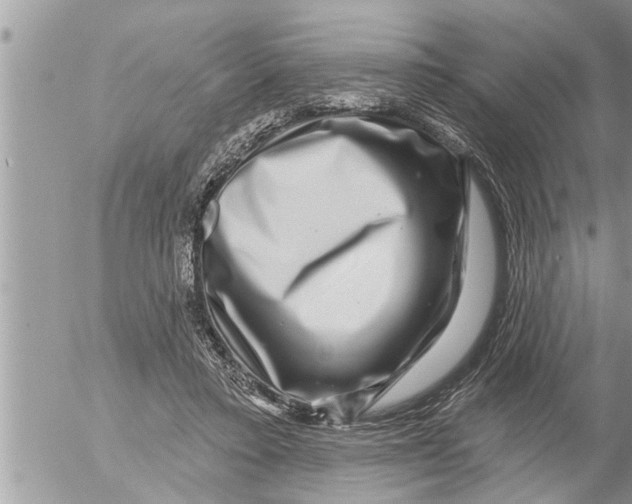 X0000052590403200507292102
