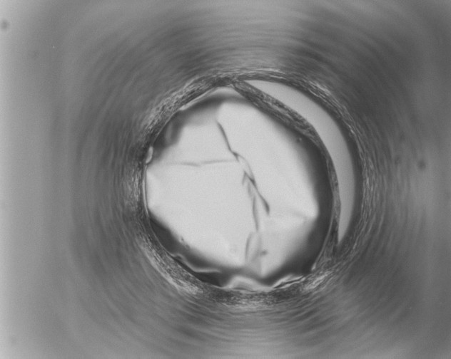 X0000052590405200507292102