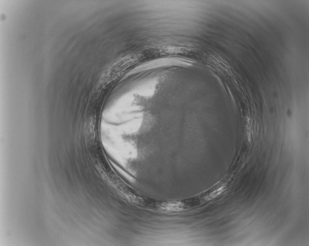X0000052590410200507292102