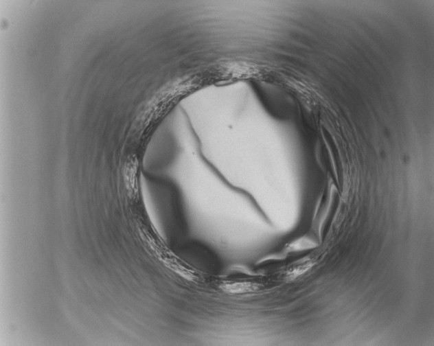 X0000052590417200507292102