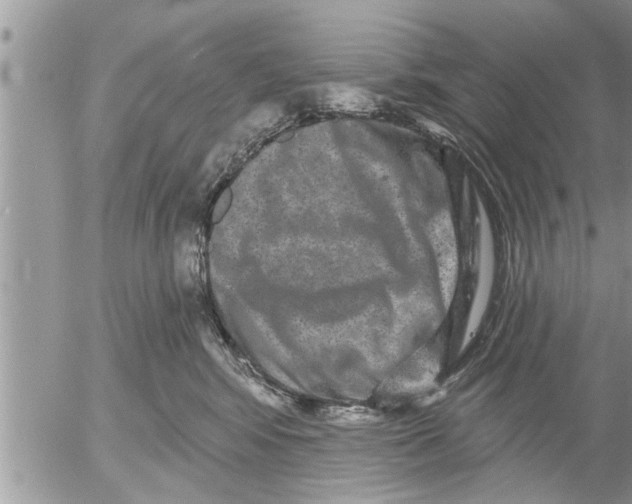 X0000052590424200507292102