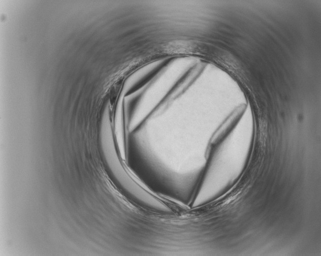 X0000052590441200507292101