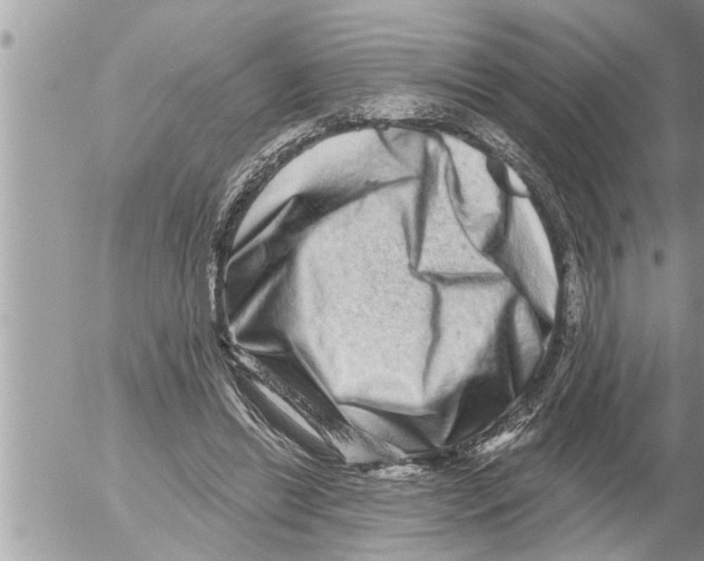X0000052590446200507292101