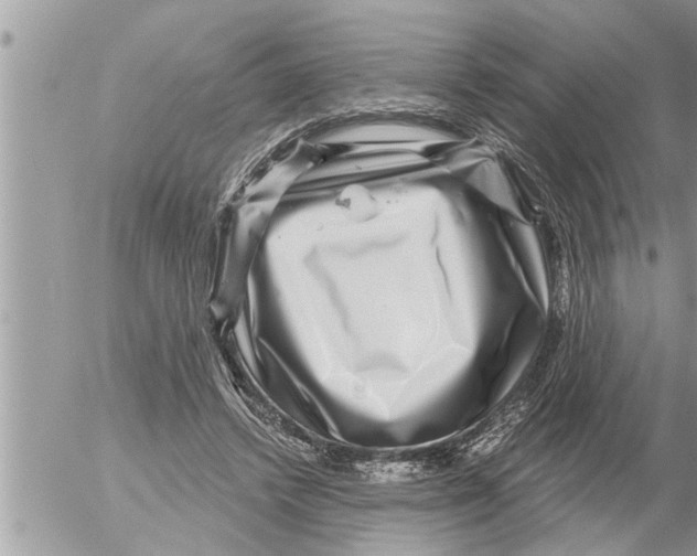 X0000052590448200507292101
